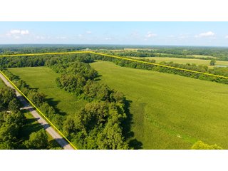 TRACT 18 - ILLINOIS LAND AUCTION - 4,810+/- ACRES OFFERED IN 85 TRACTS IN FRANKLIN, WILLIAMSON, HAMILTON & SALINE COUNTIES, ILLINOIS